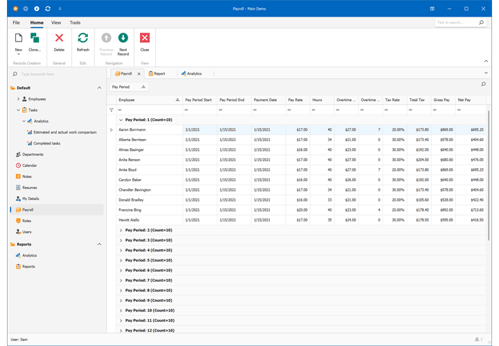 Payroll View - Employee Management Demo, XAF WinForms | DevExpress