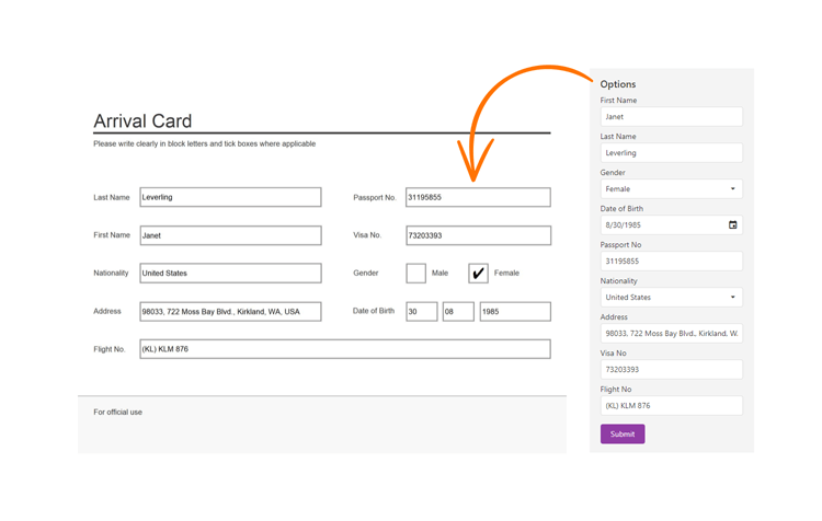 Interactive Forms - Office File API | DevExpress