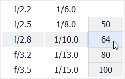 DevExpress VCL Generic Wheel Picker