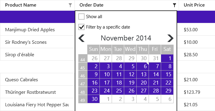 Windows 8 Grid - Date-Time Column Filter