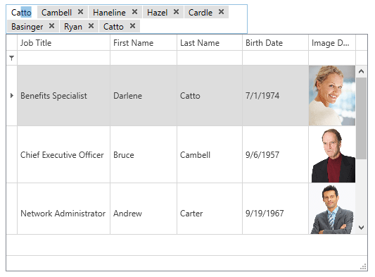 DevExpress WPF Grid - Token Editor