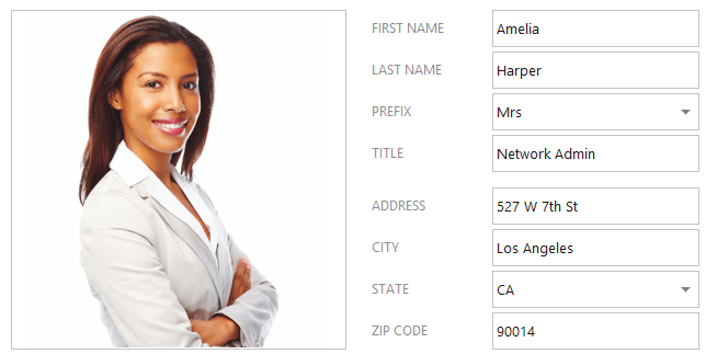 DevExpress WinForms Table Layout