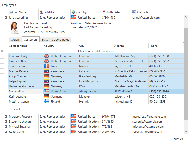 DevExpress WPF Grid - Master-Detail Enhancements