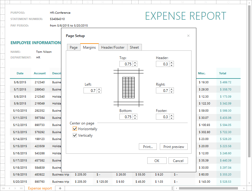 DevExpress WinForms Spreadsheet - Page Setup Dialog