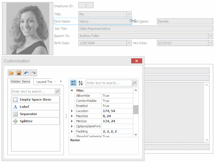 WinForms Layout Control | DevExpress