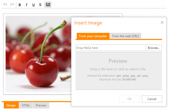 Insert Media Dialogs - ASP.NET HTML Editor | DevExpress