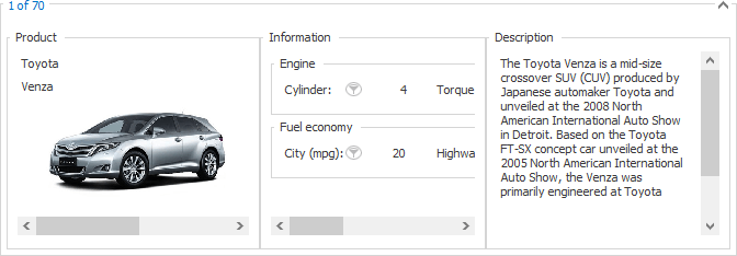 Scrollable Group Content in Layout Views, VCL Grid Control | DevExpress