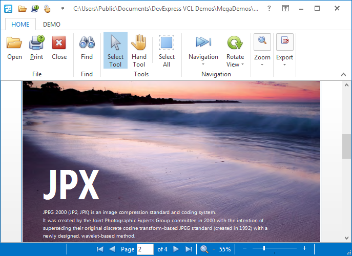 JPX Image Format Support - VCL PDF Viewer | DevExpress
