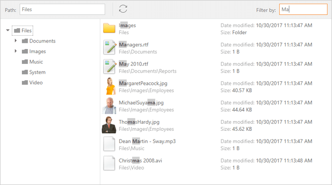 ASP.NET File Manager - Subfolder Searching | DevExpress