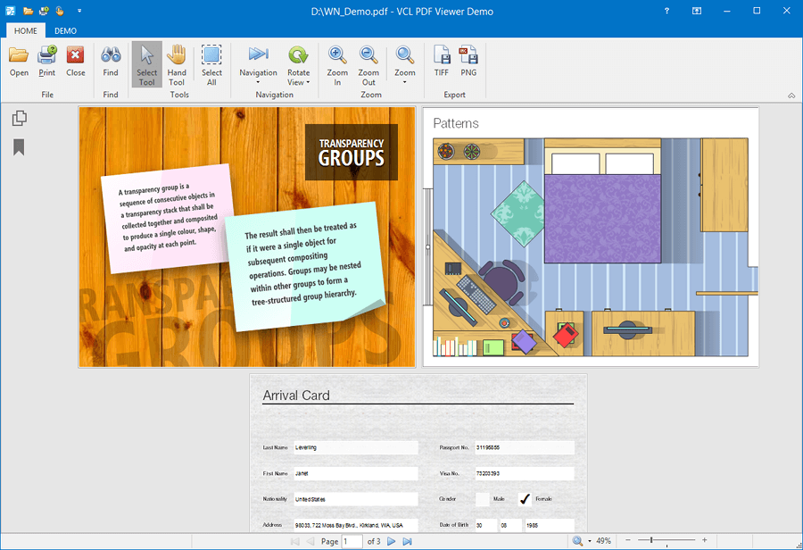 VCL PDF Viewer - Transparency groups and Interactive Form, DevExpress