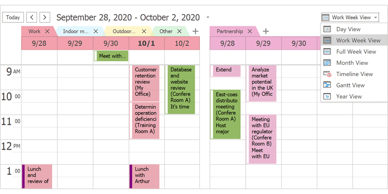 View Selector - WinForms Scheduler Control | DevExpress