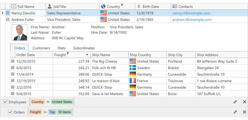 Filter Panel - Master-Detail Data - WPF Data Grid | DevExpress