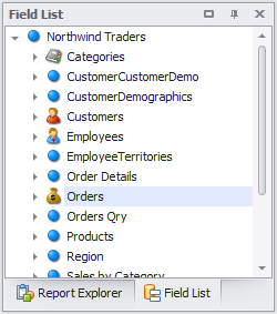 .NET Reporting - Field List - Custom Icons