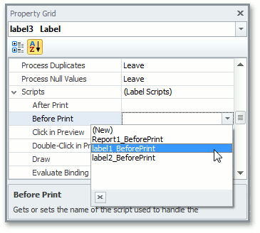 .NET Reporting - Editing Scripts in a Property Grid