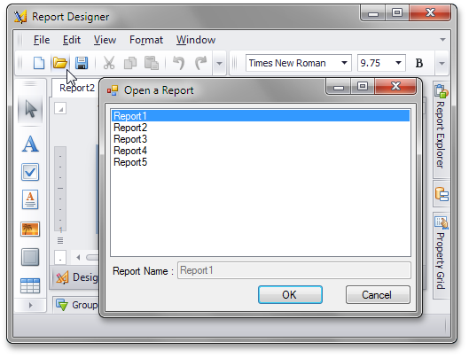 .NET Reporting - End-User Designer - Report Storage
