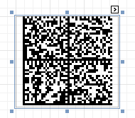 ECC200 Data Matrix 2D Barcode XtraReports