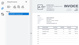 ZUGFeRD-Compliant PDF - PDF Document API | DevExpress