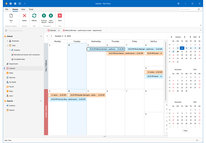 Calendar View - Employee Management Demo, XAF WinForms | DevExpress