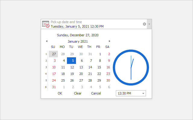 WinForms Date Edit UI Elements