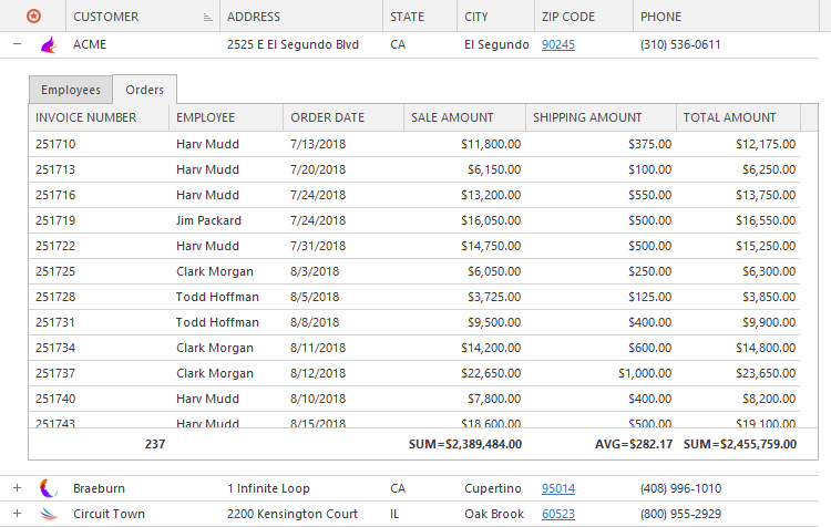 Master-Detail Data Presentation - WinForms Data Grid | DevExpress