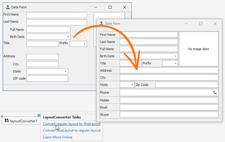 WinForms Layout Converter | DevExpress