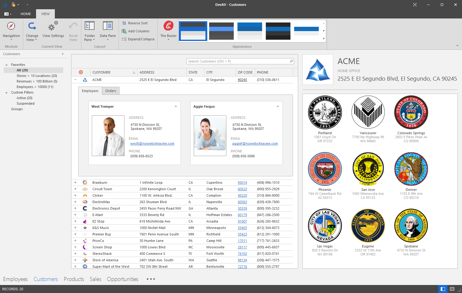 Vector, SVG Themes for DevExpress WinForms Controls