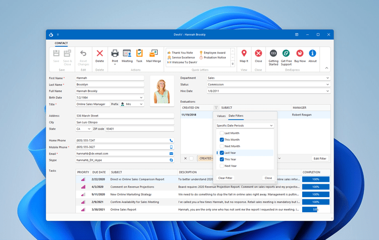 Vector, SVG Themes for DevExpress WinForms Controls