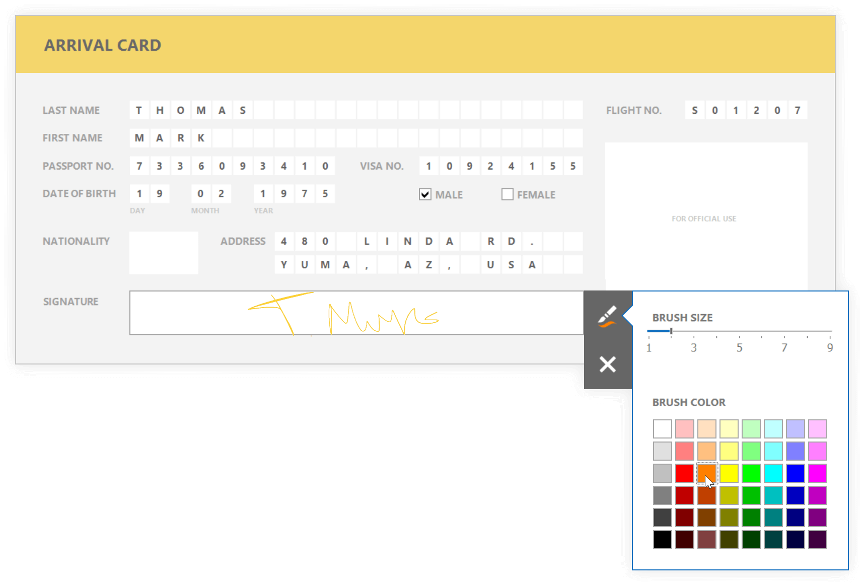 Freehand Drawing in Print Preview - Picture Box, .NET Reporting | DevExpress