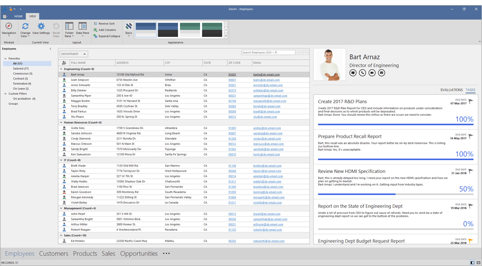 The Basic Skin for WinForms, DevExpress