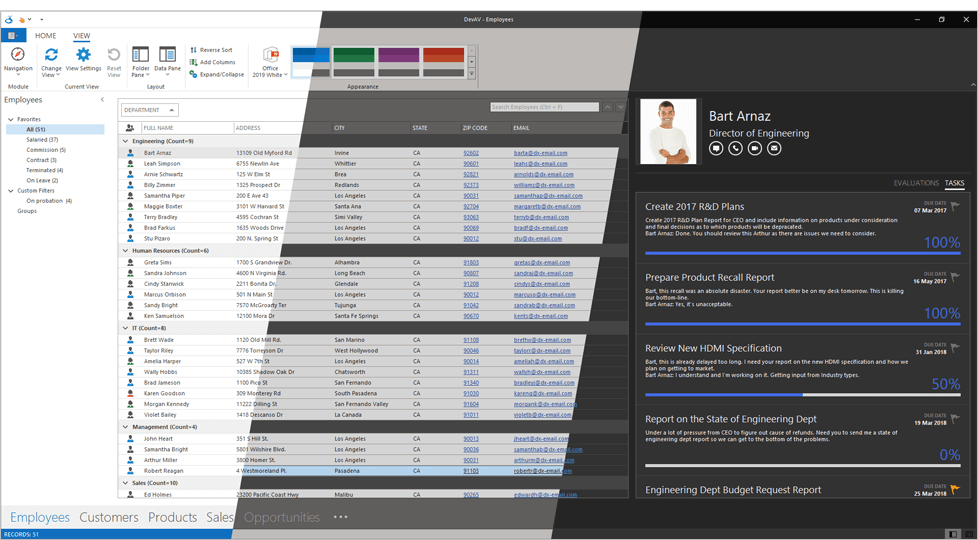 Office 2019 White, Dark Gray and Black Skins for WinForms, DevExpress