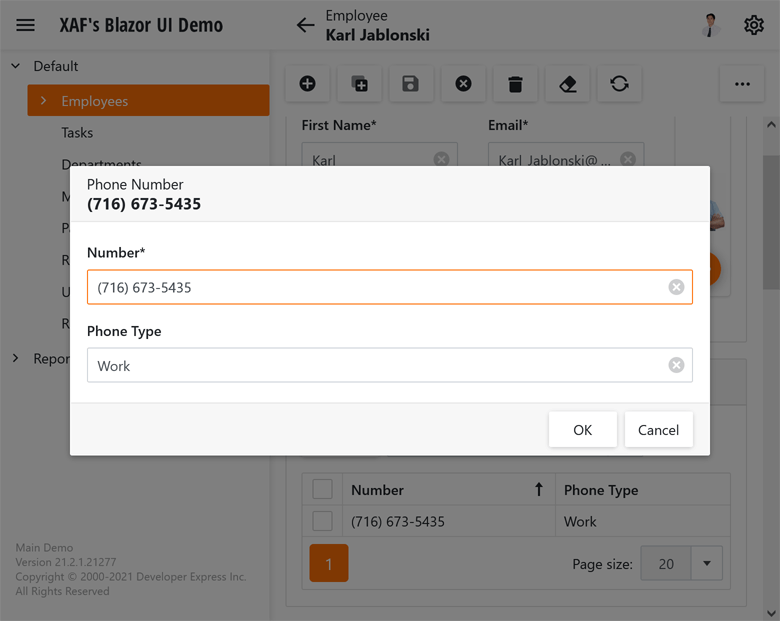 Edit Mask and Display Format - XAF for Blazor | DevExpress