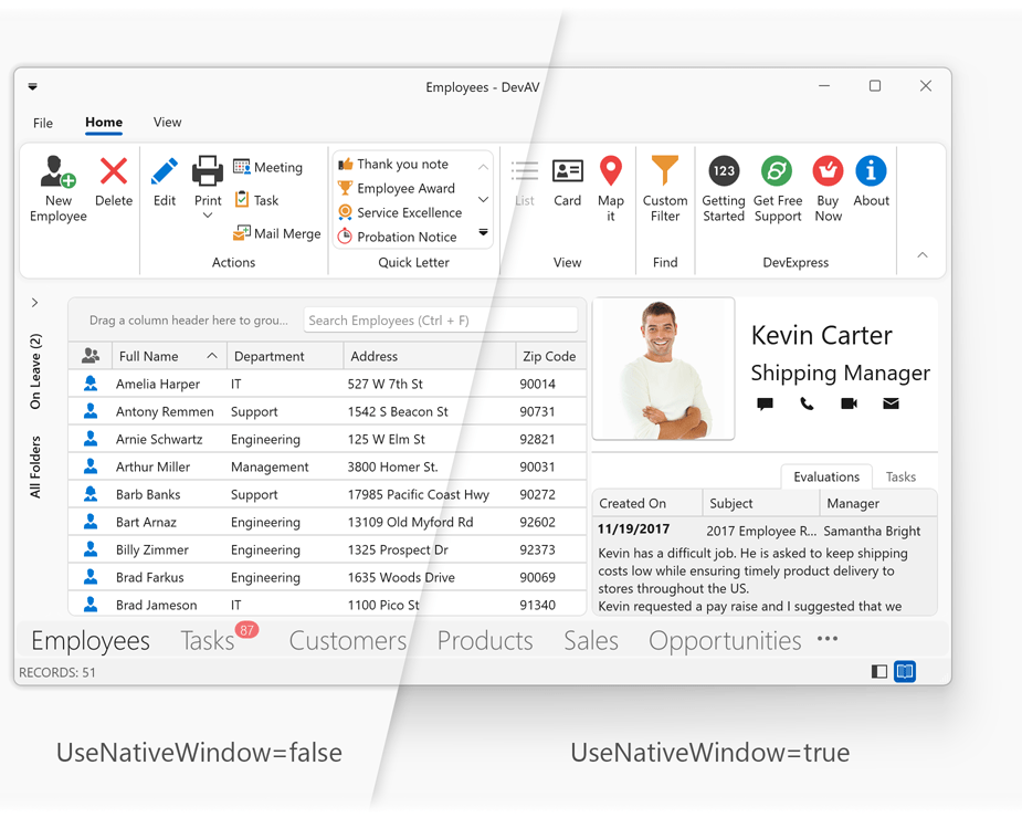 Window Native Rendering - WPF UI Controls | DevExpress