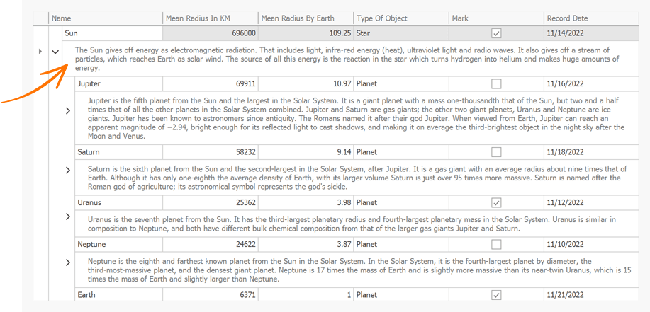 Skinned Paddings and Configurable Indent in TreeList Preview Sections - WinForms Controls, DevExpress