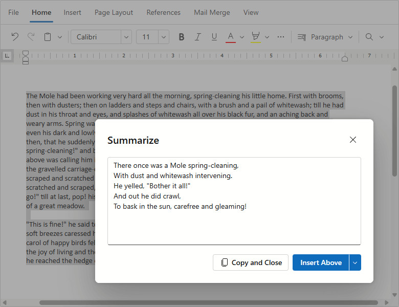 Augment Summary Prompt